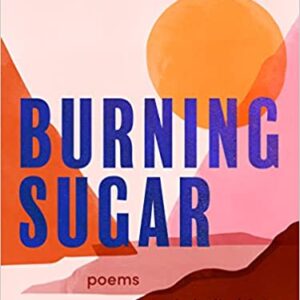 Burning Sugar book cover