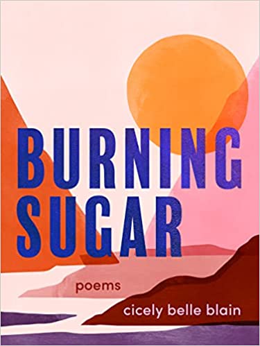 Burning Sugar book cover